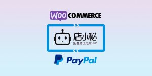 How To Synchronize Tracking Number to PayPal on Dianxiaomi ERP for WooCommerce
